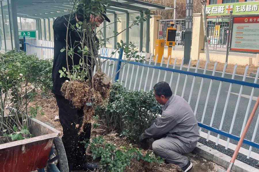 尊时凯龙·Z6(中国区)人生就是拼搏!